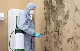 Best Residential Mold Inspection & Testing  in Tahlequah, OK